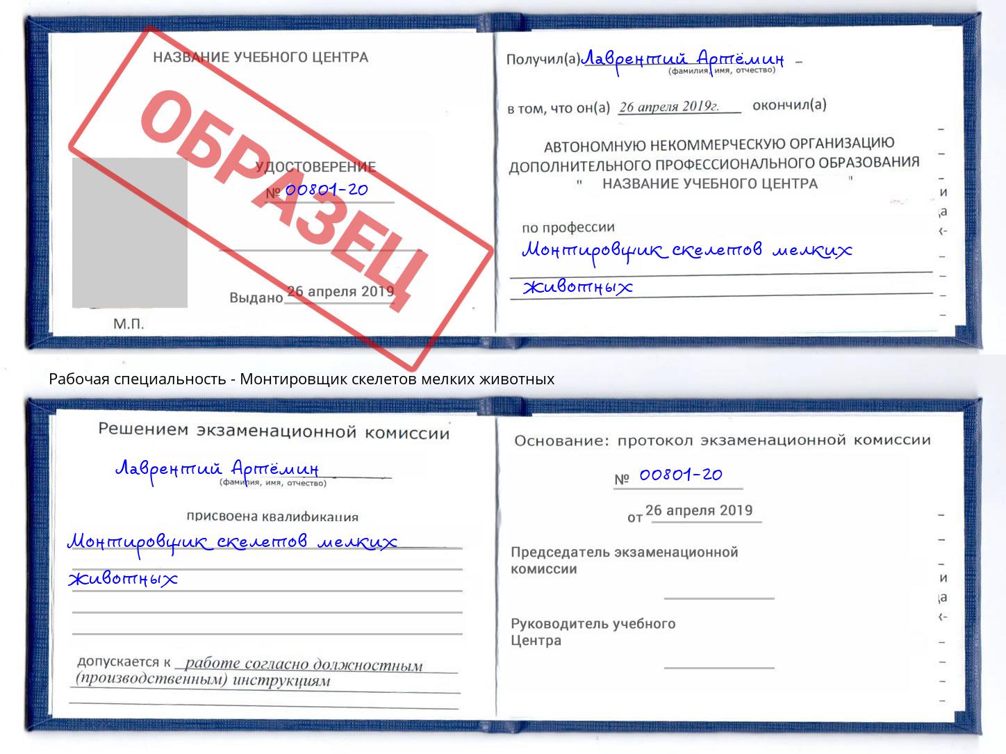 Монтировщик скелетов мелких животных Пенза