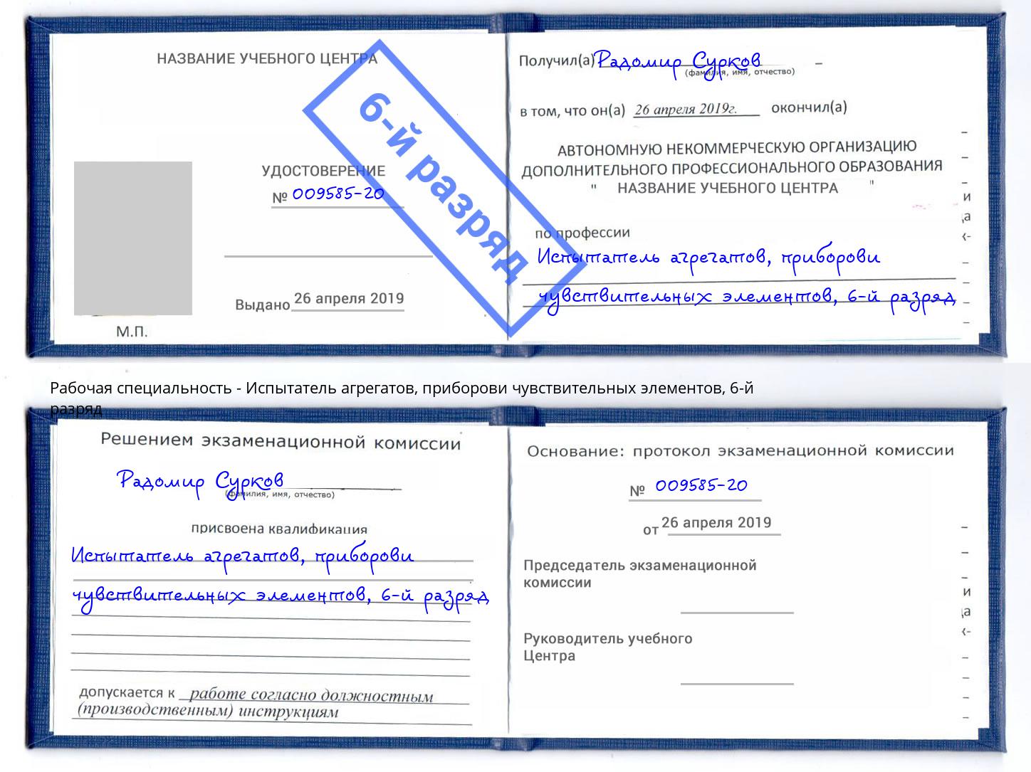 корочка 6-й разряд Испытатель агрегатов, приборови чувствительных элементов Пенза
