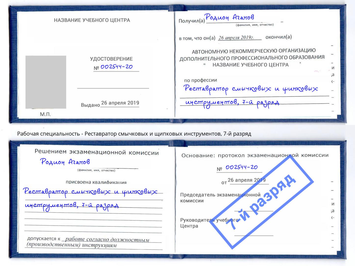 корочка 7-й разряд Реставратор смычковых и щипковых инструментов Пенза