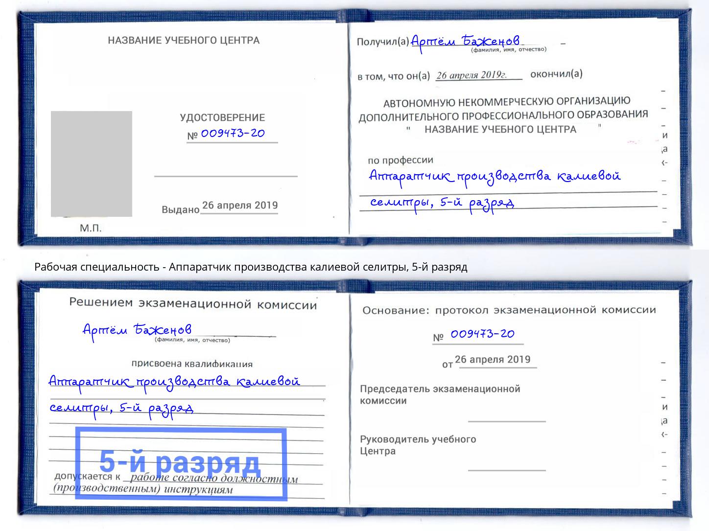 корочка 5-й разряд Аппаратчик производства калиевой селитры Пенза