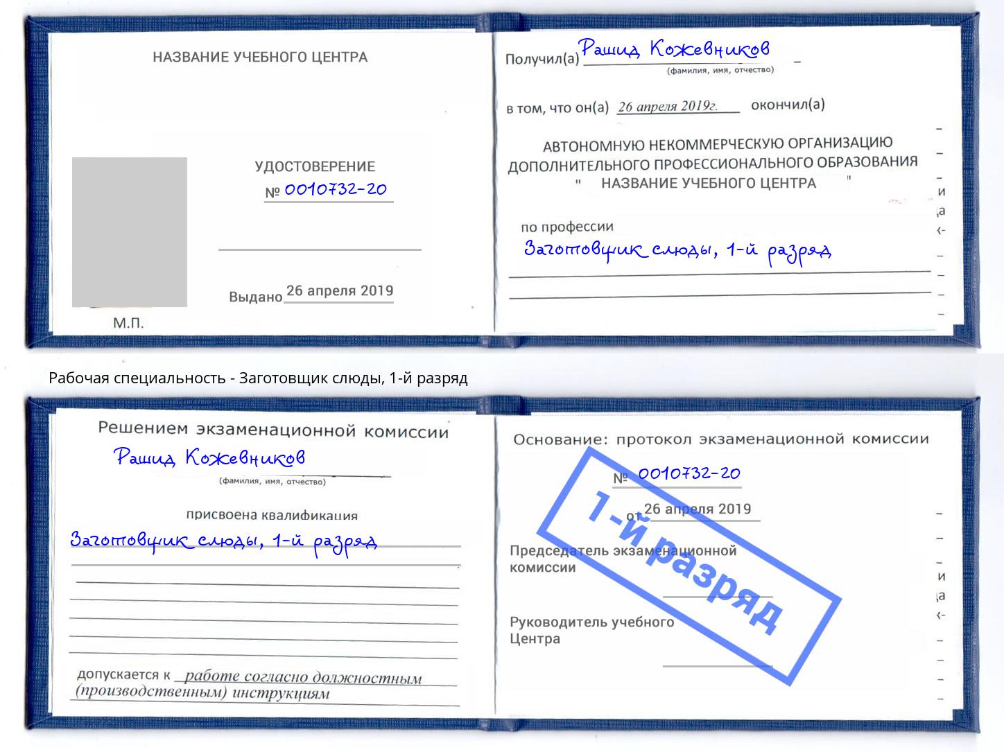 корочка 1-й разряд Заготовщик слюды Пенза